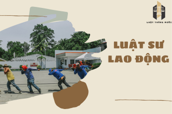 Luật sư Lao động